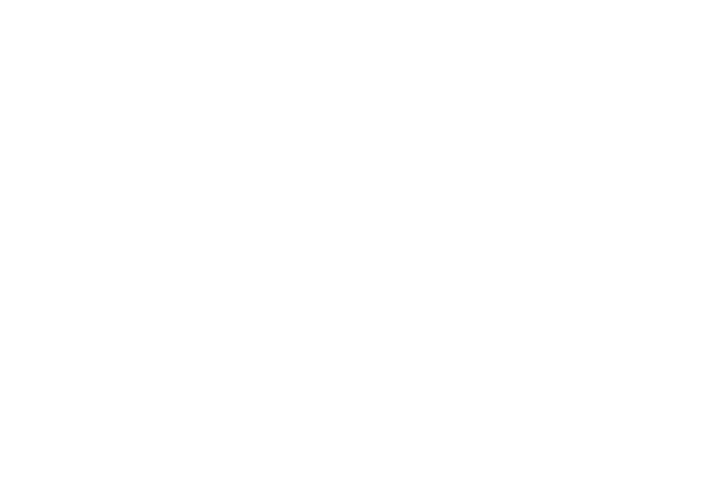 Federfuchs - Onlinemarketing Agentur